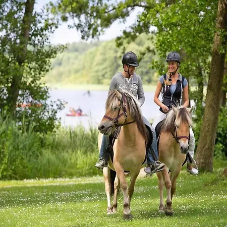 Mit Sauna Im Mirow בית נופש Granzow